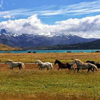 Tour Patagonia - 5 Días