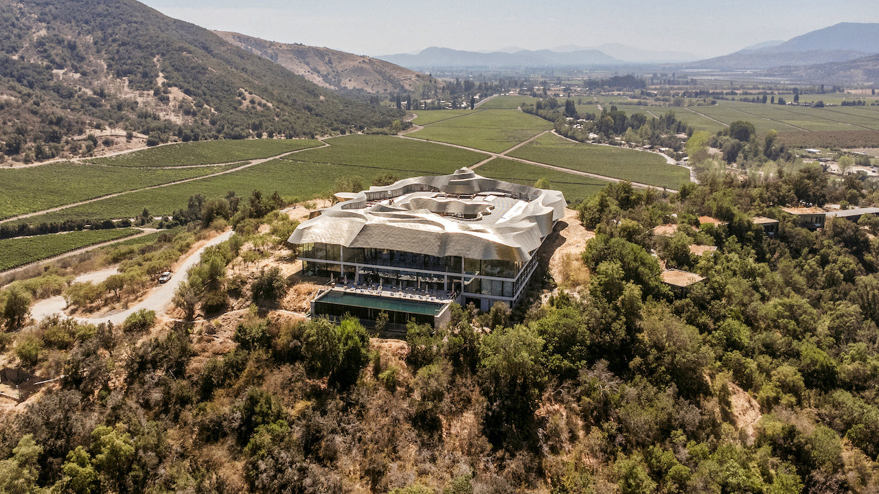 Viñas